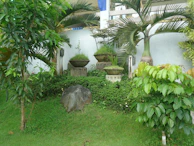 Outdoor scene showing metal planters with lush foliage beside a garden path.