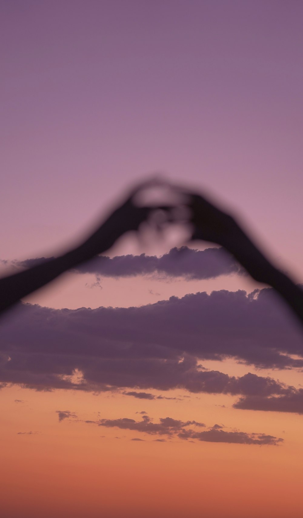 a bird flying through the air with a sunset in the background