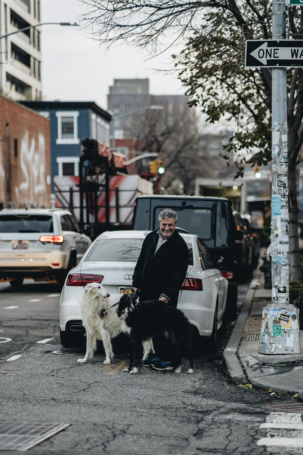 a man standing next to two dogs on a city street