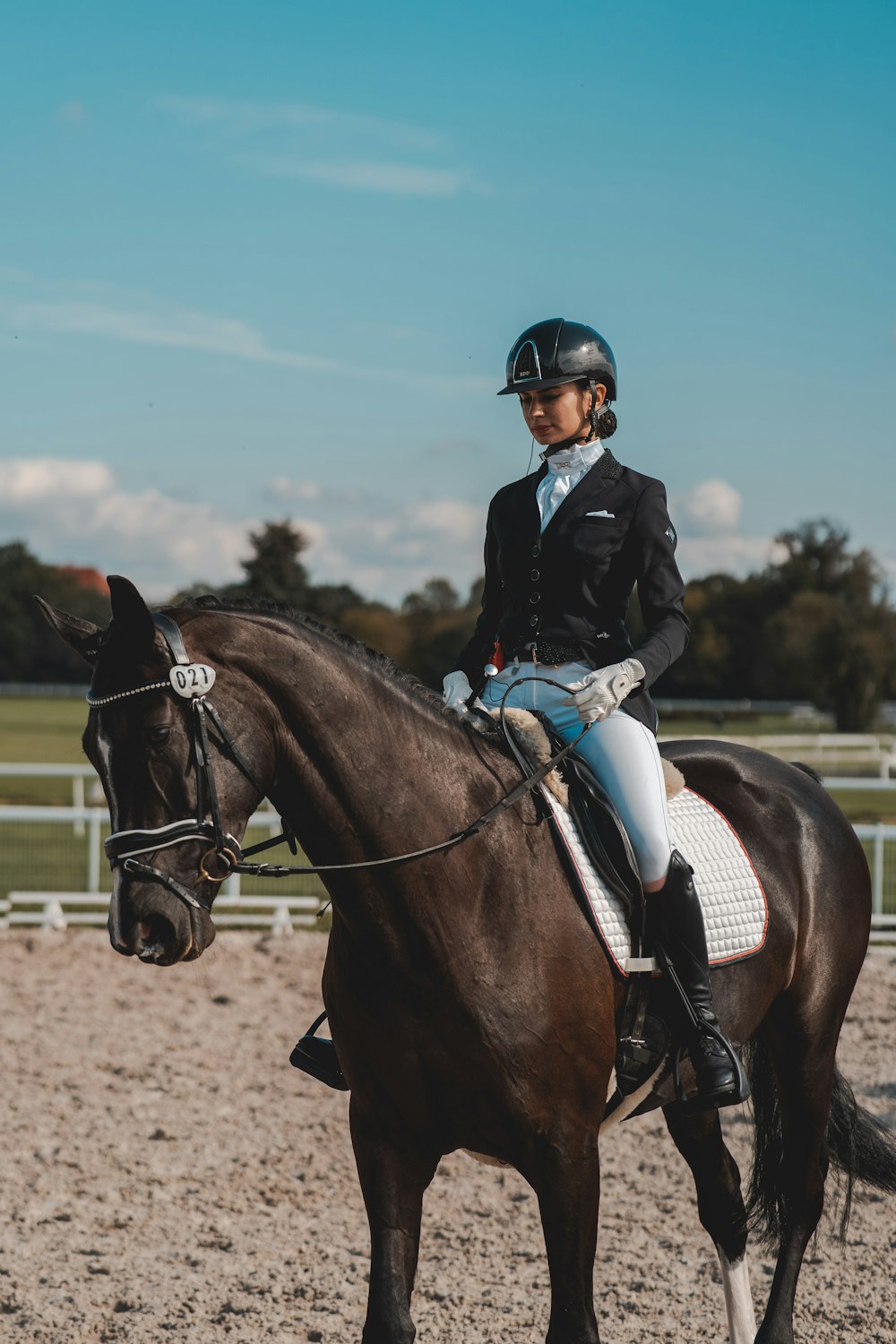 a young girl riding on the back of a brown horse