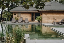A rustic wooden house is situated beside a natural swimming pool. The house is surrounded by lush greenery, and several lounge chairs are arranged on a wooden deck. Potted plants add to the natural ambiance, and the water reflects the house and surrounding trees.