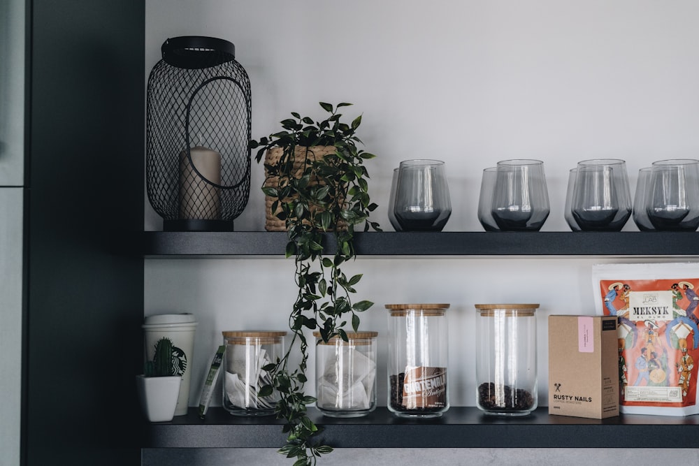 a shelf filled with lots of different types of glasses