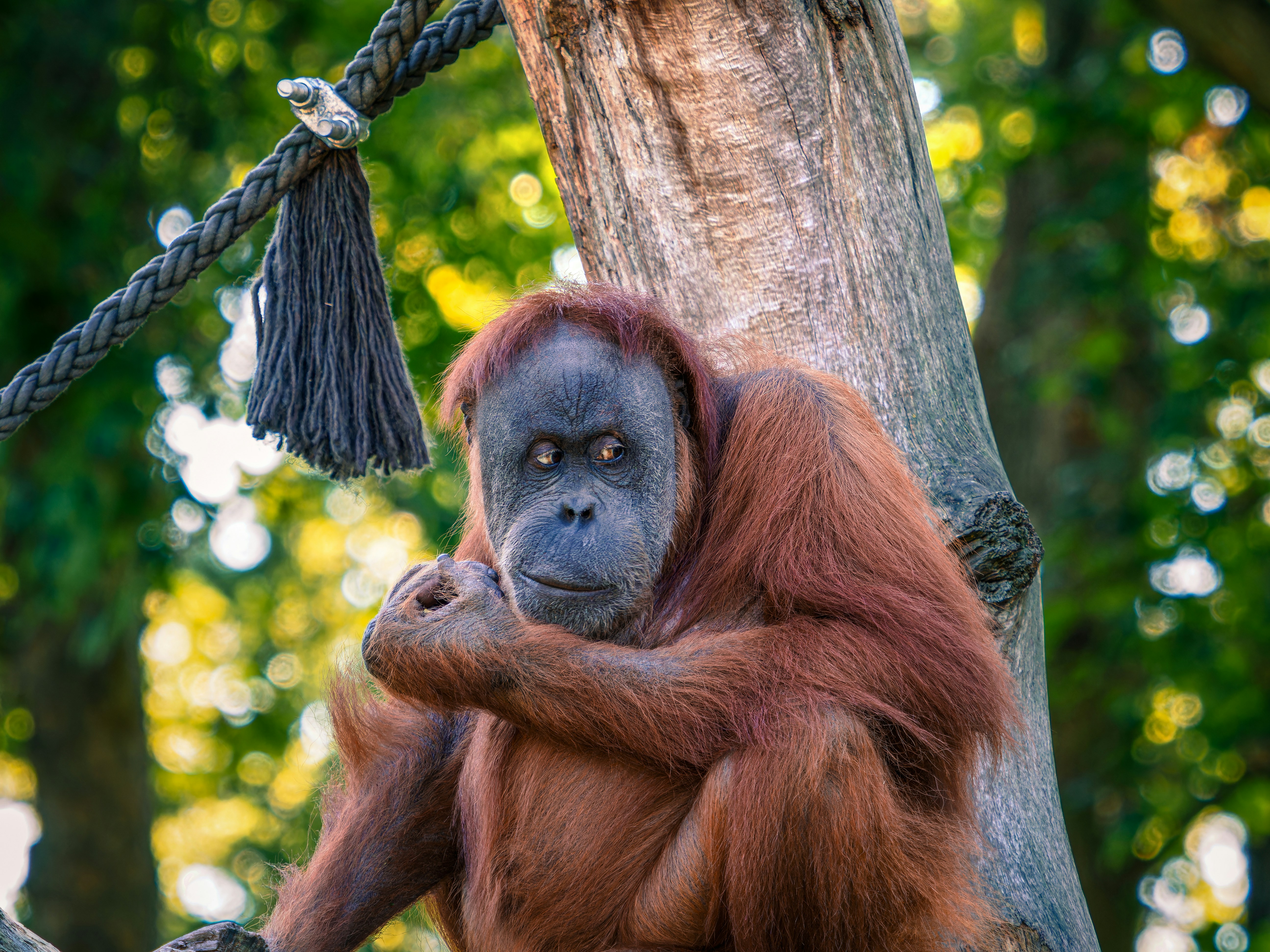 Photo by rolandkurth