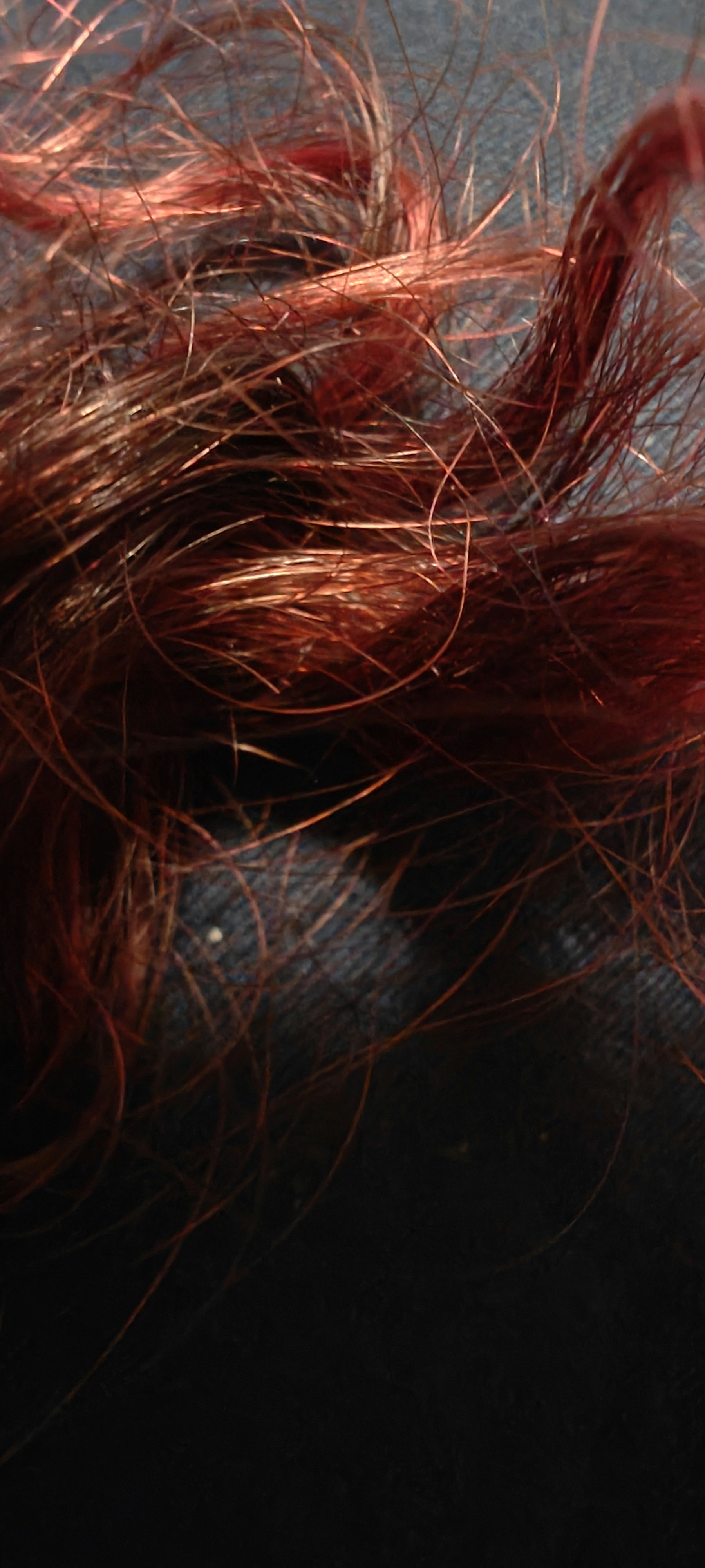 Close-up of rich auburn hair color treatment, moody studio shadows, dark atmospheric setting