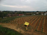 A vineyard stretches across a green and brown landscape, with neatly aligned rows of grapevines. In the foreground, a large yellow bench stands out against the earth-toned ground. Several residential buildings with red roofs are scattered in the background, surrounded by lush trees and rolling hills under an overcast sky.