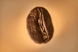 Macro shot of coffee grain textures illuminated by soft natural light.