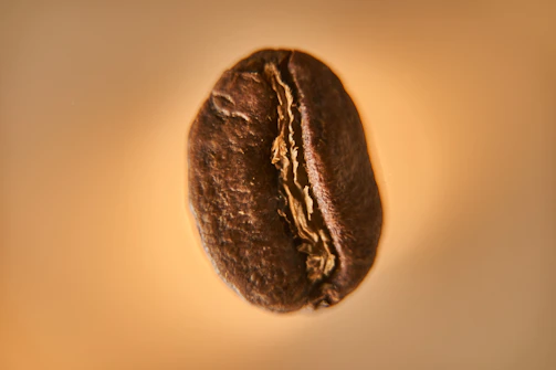 Macro shot of coffee grain textures illuminated by soft natural light.