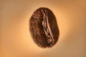 A close-up of a single coffee bean with detailed textures and grooves visible. The background is a soft gradient of warm hues, highlighting the bean's rich brown color.