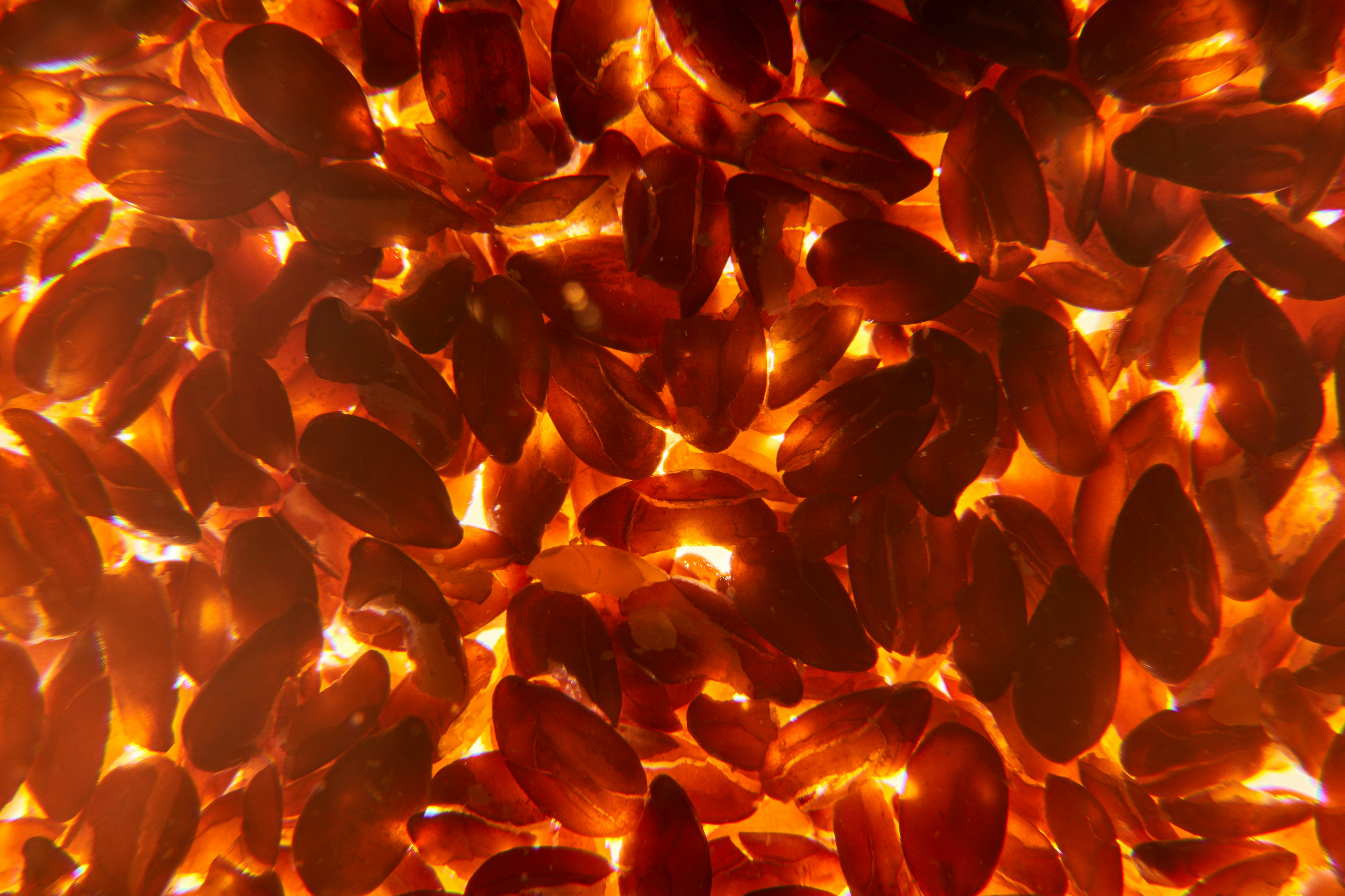 Photo by wolfgang_hasselmann