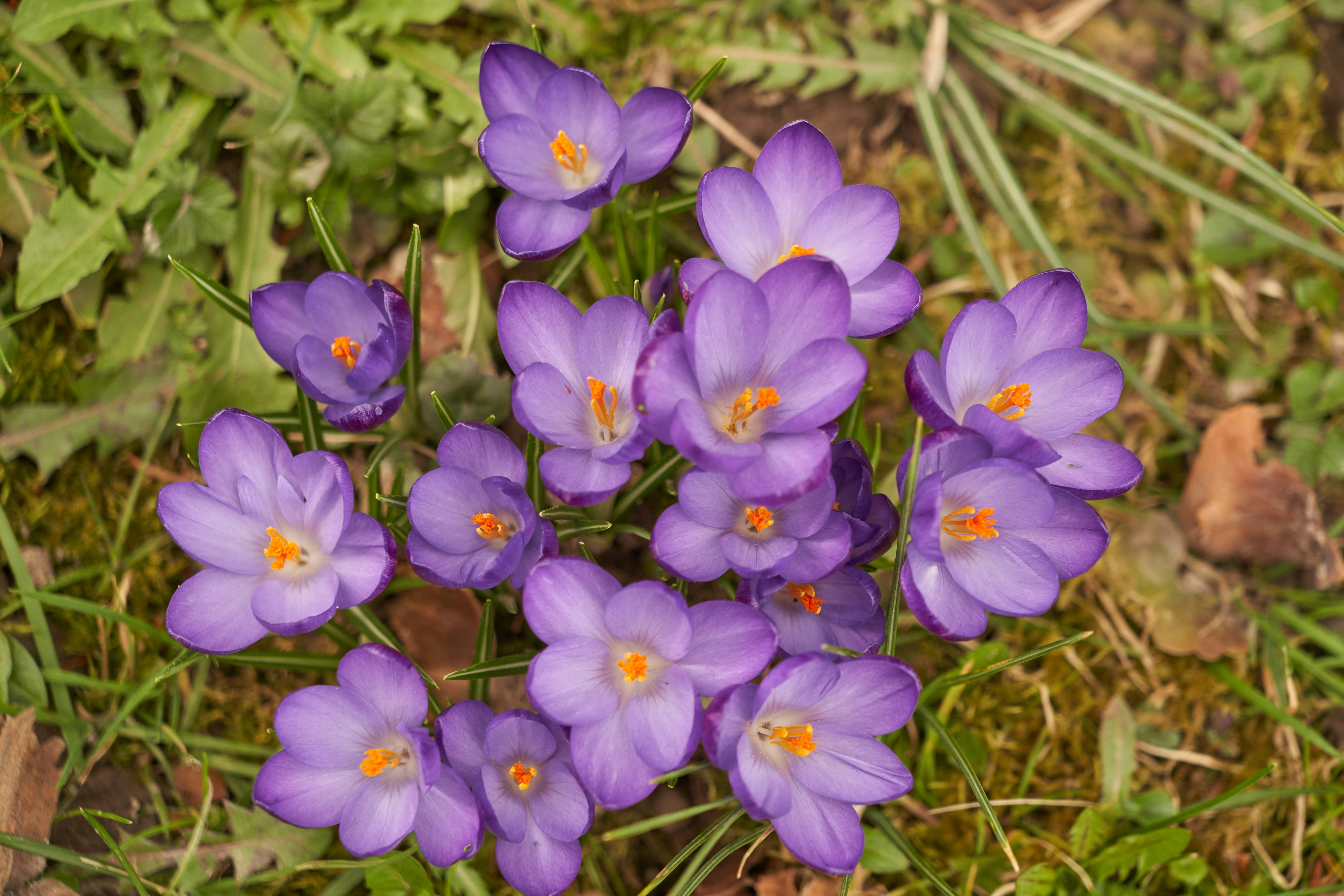 Photo by wolfgang_hasselmann