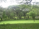 A landscape shot of a serene green park area.