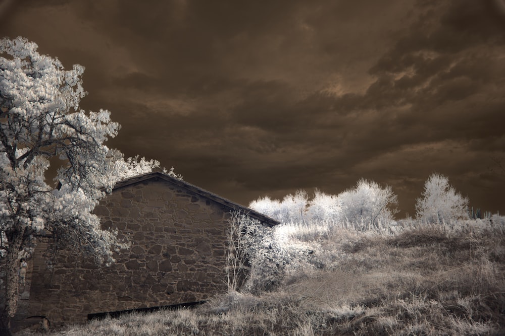 a infrared image of a barn and a tree