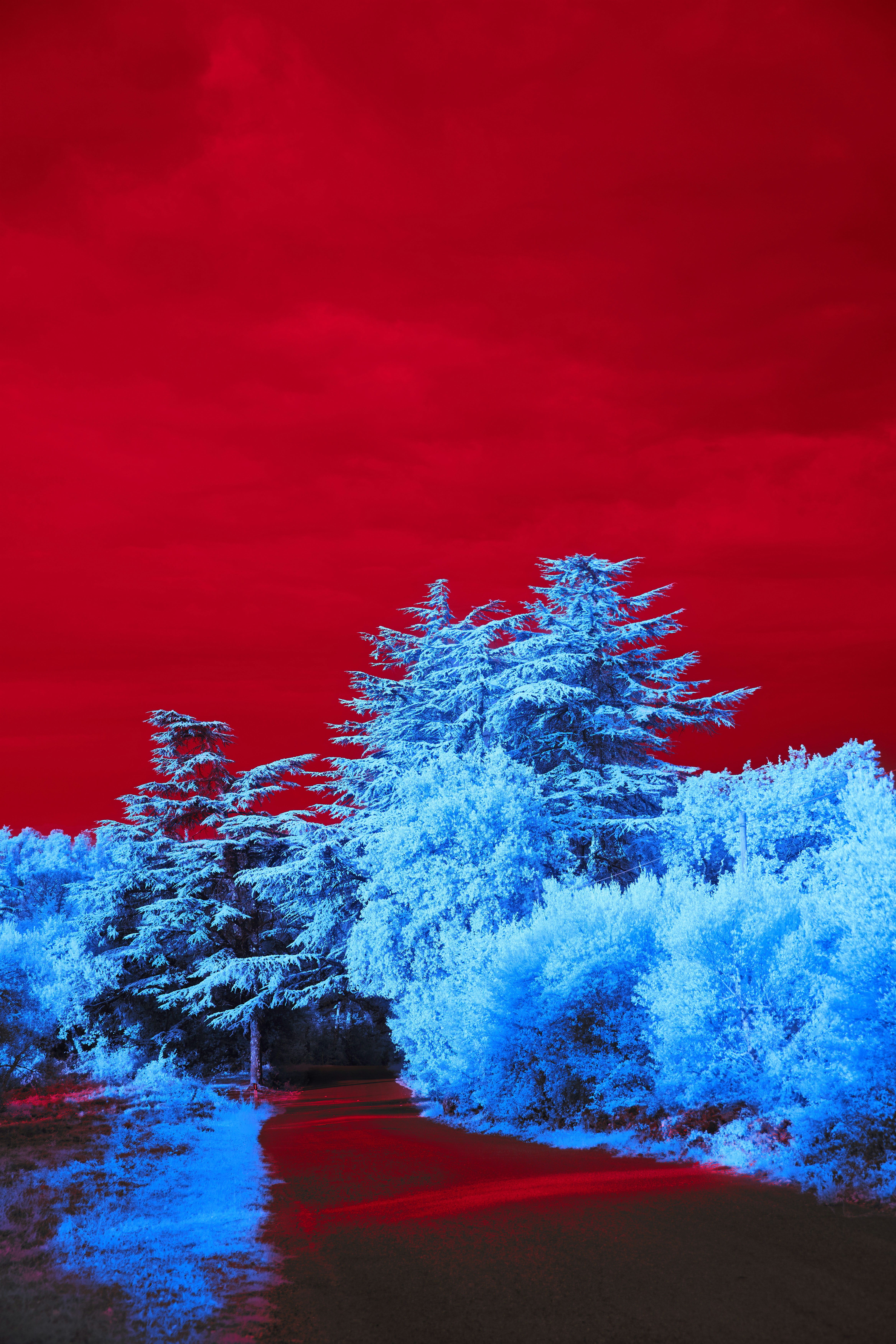 Photo by wolfgang_hasselmann