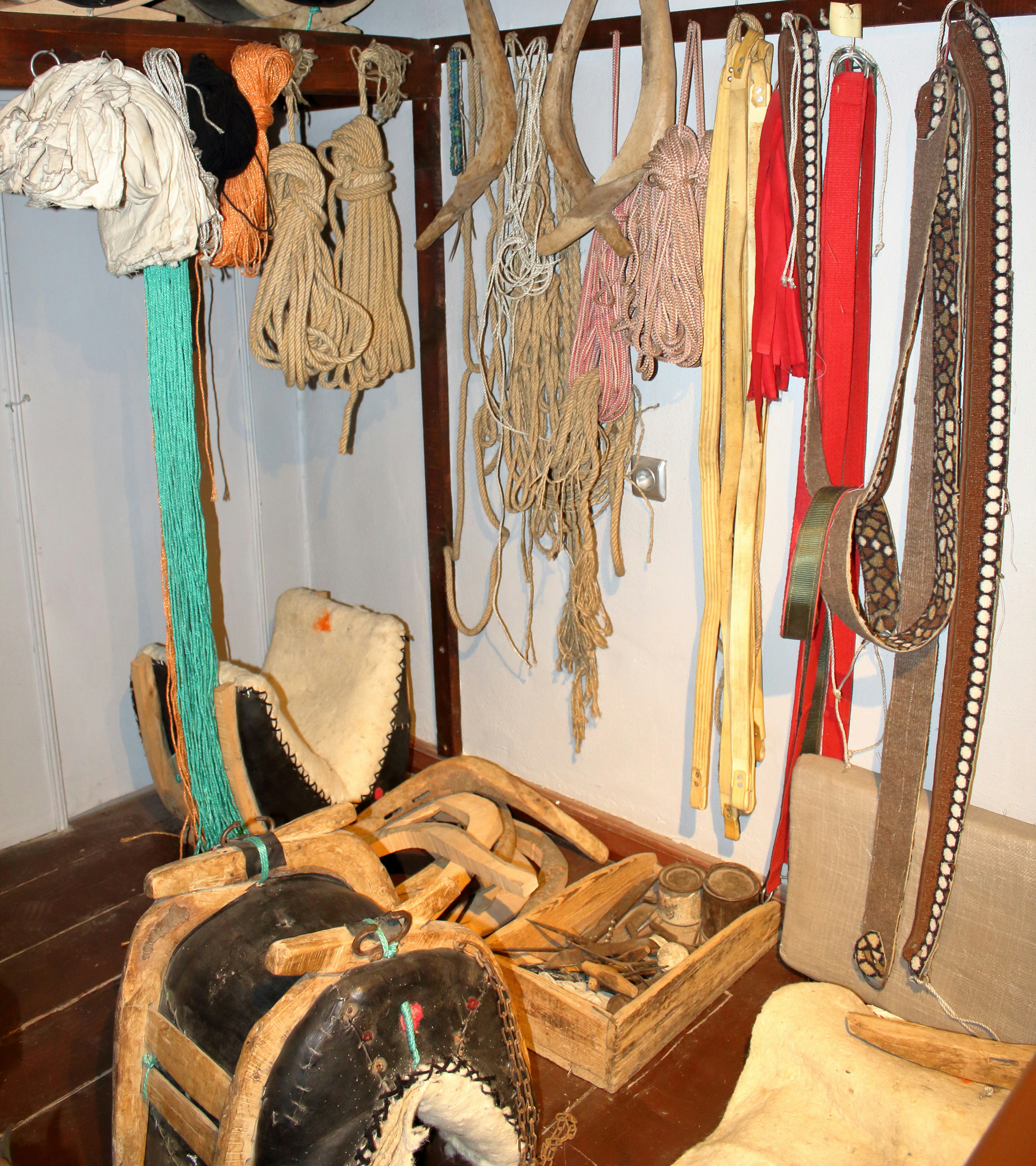 Premium Sports Equipment Collection