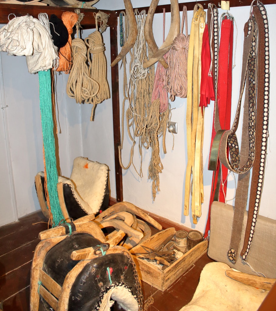 Custom Bridle and Halter Holder