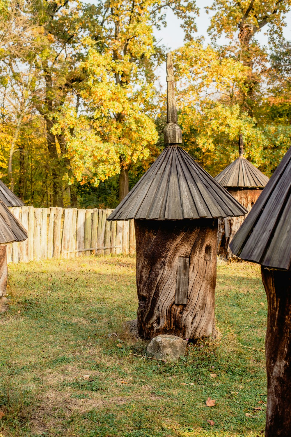 a group of trees that are in the grass