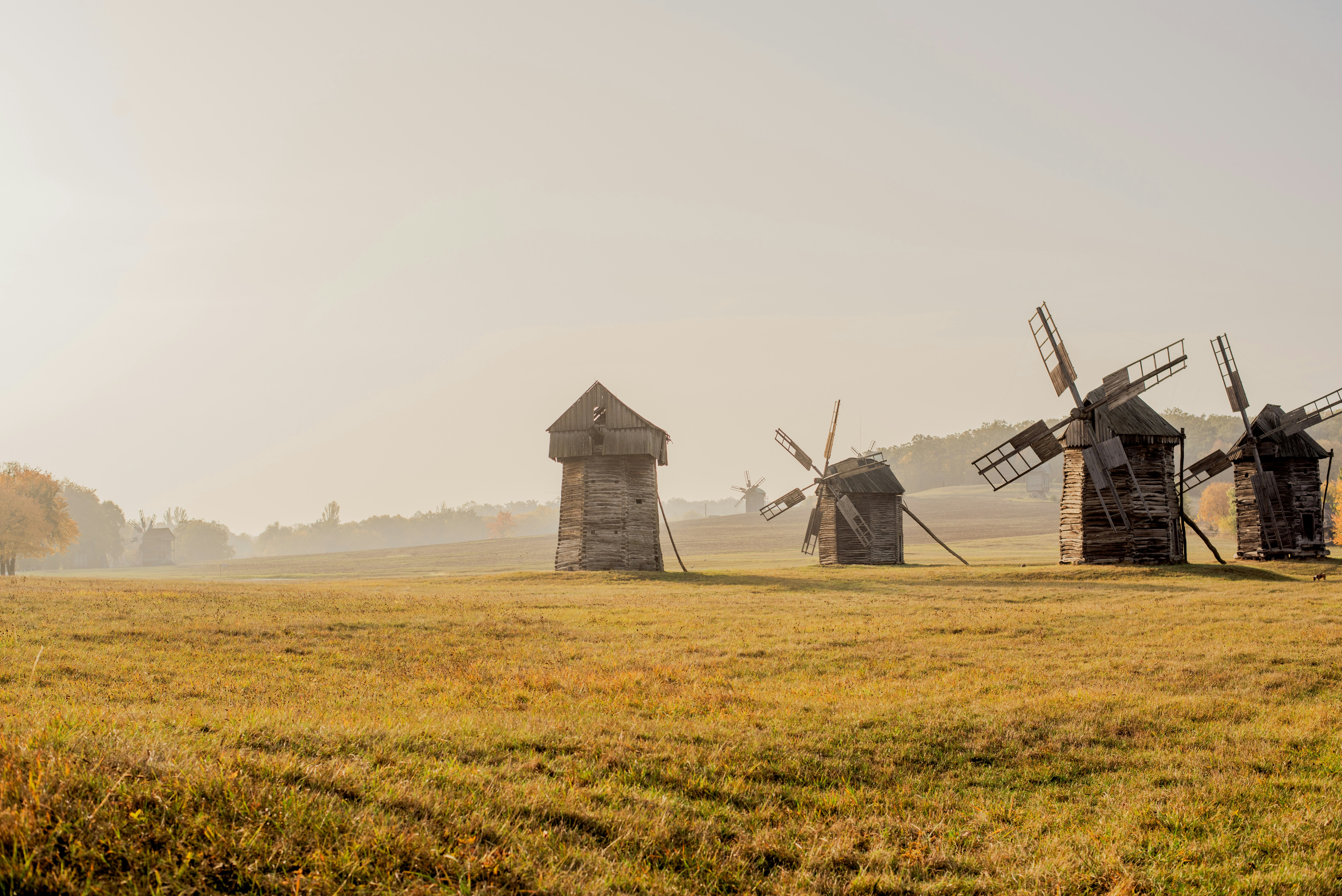 Photo by eugenivy_now