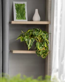 Minimalist shelf display featuring handcrafted home décor items in soft natural light.