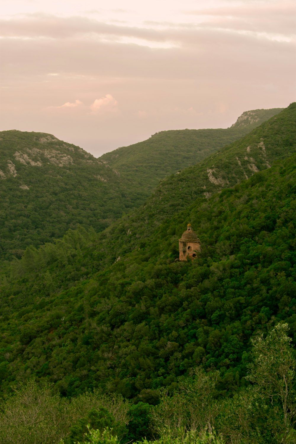 a house on a hill surrounded by trees