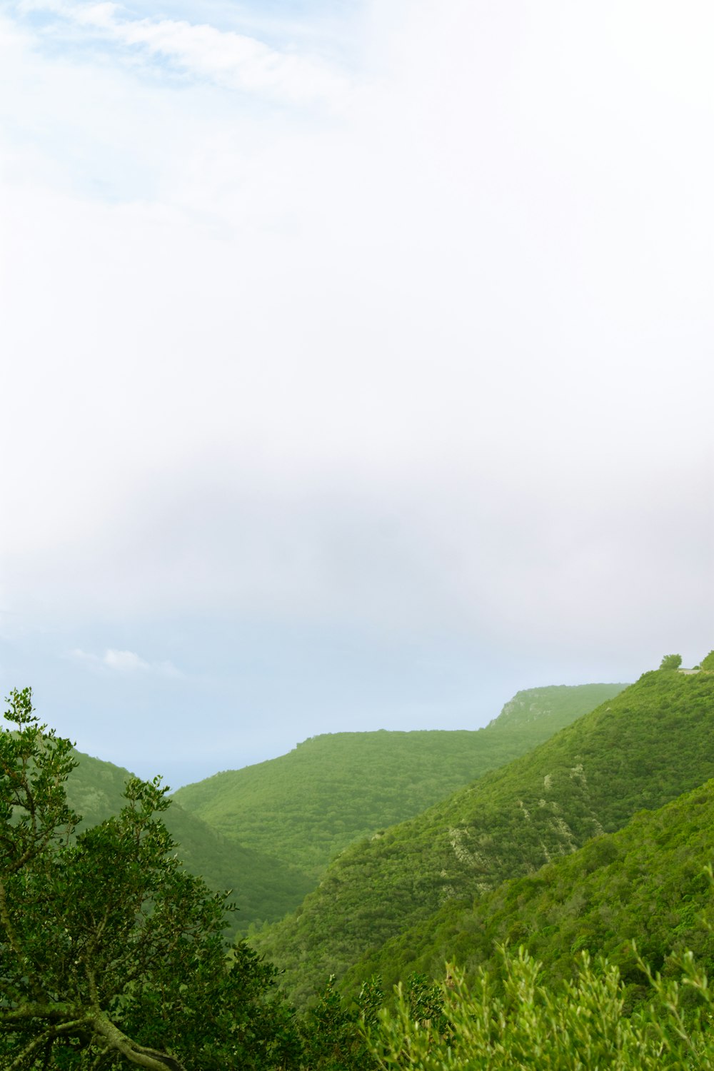 a view of a lush green hillside with mountains in the background