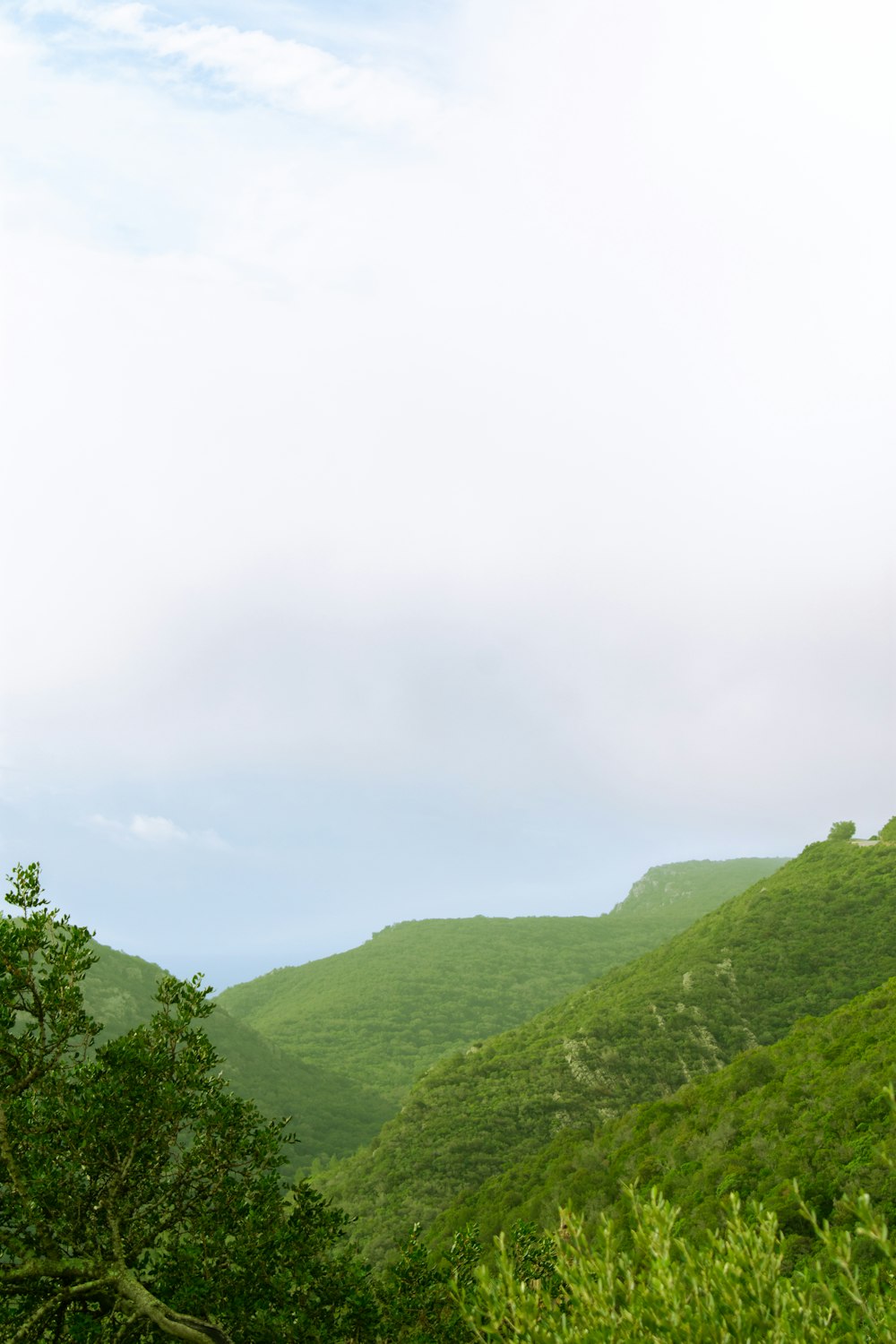 Blick auf einen saftig grünen Hügel mit Bergen im Hintergrund