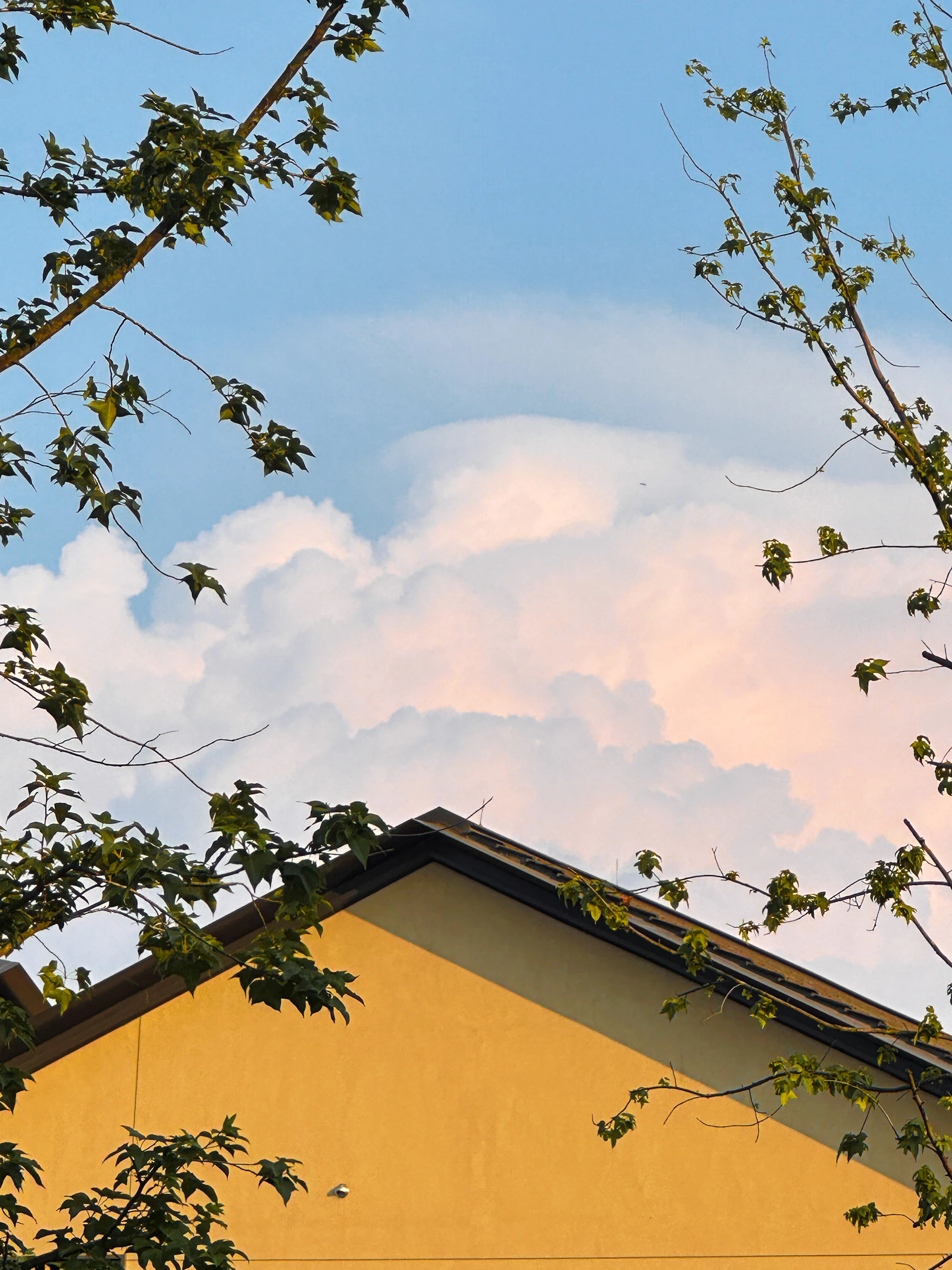 woman wearing yellow long-sleeved dress under white clouds and blue sky during daytime