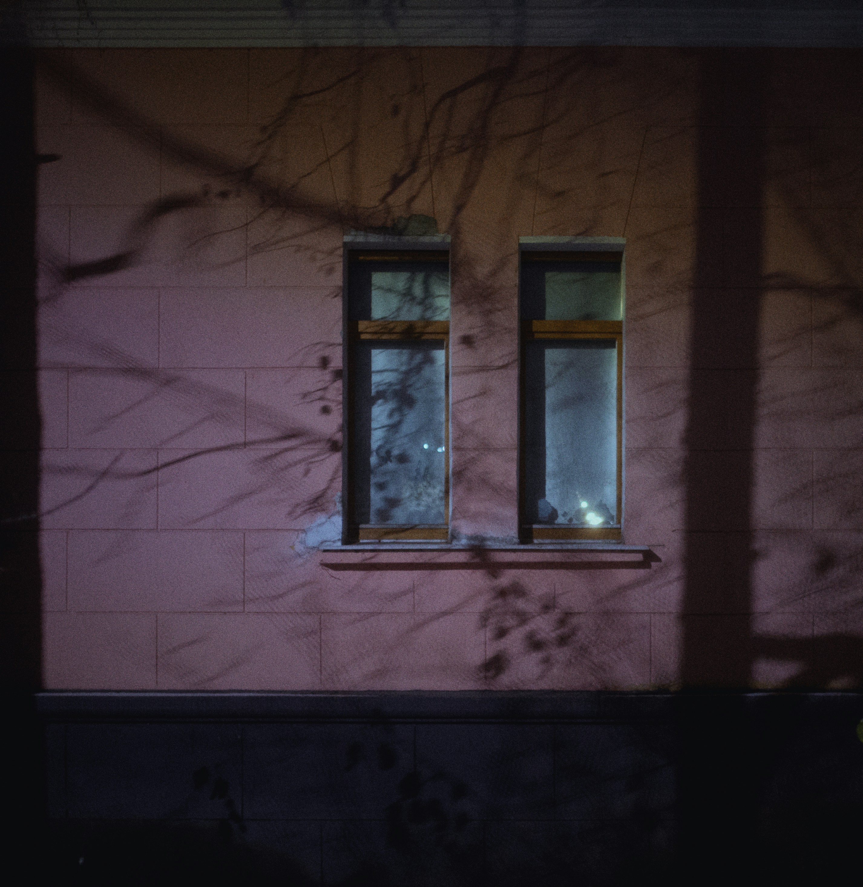 Photo by evil_bumblebee