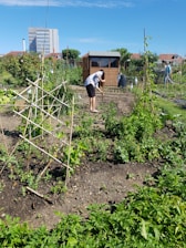 Volunteers planting a community garden on a sunny day, smiling and working together.