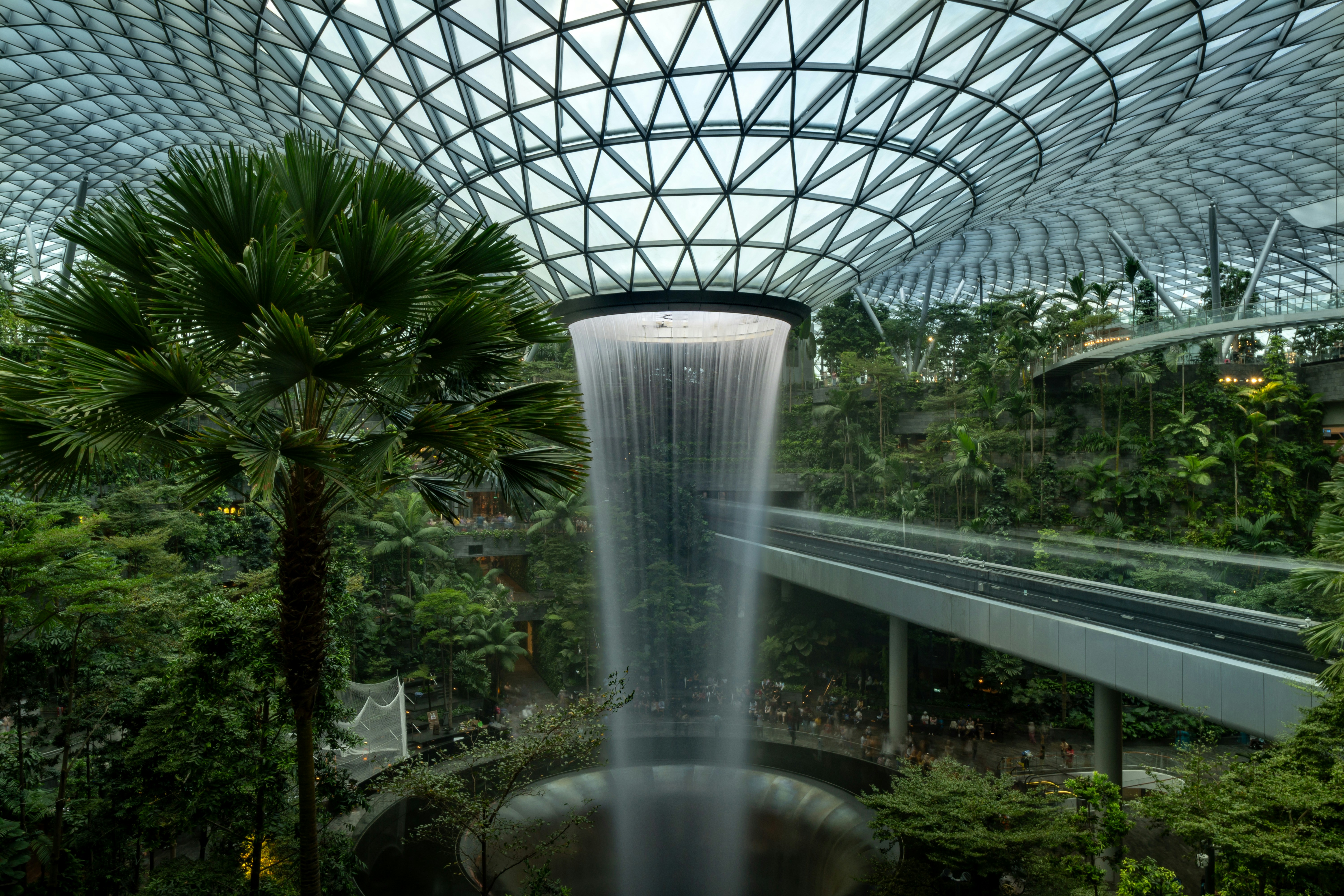 a waterfall in the middle of a tropical garden