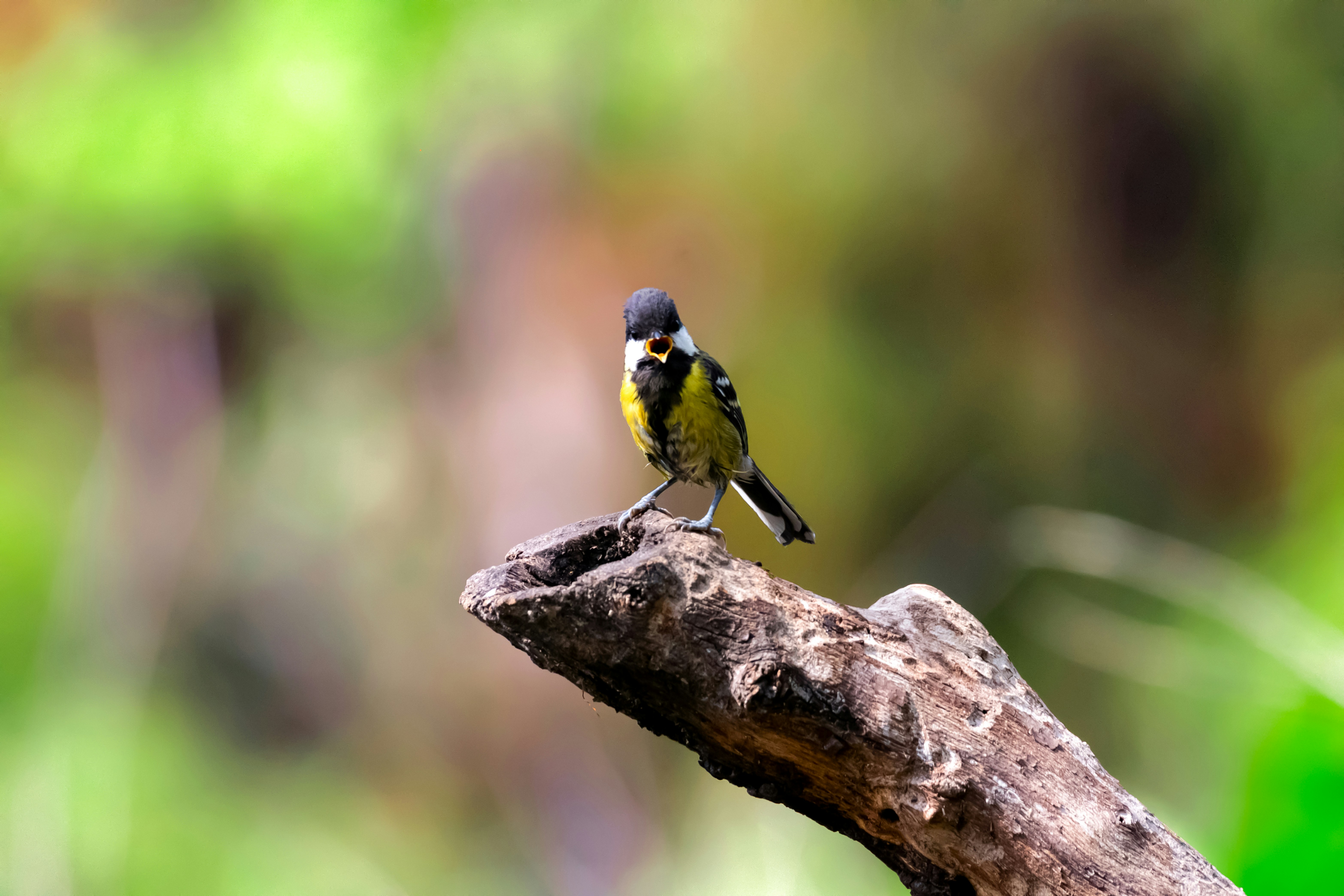 Photo by mhphotography13