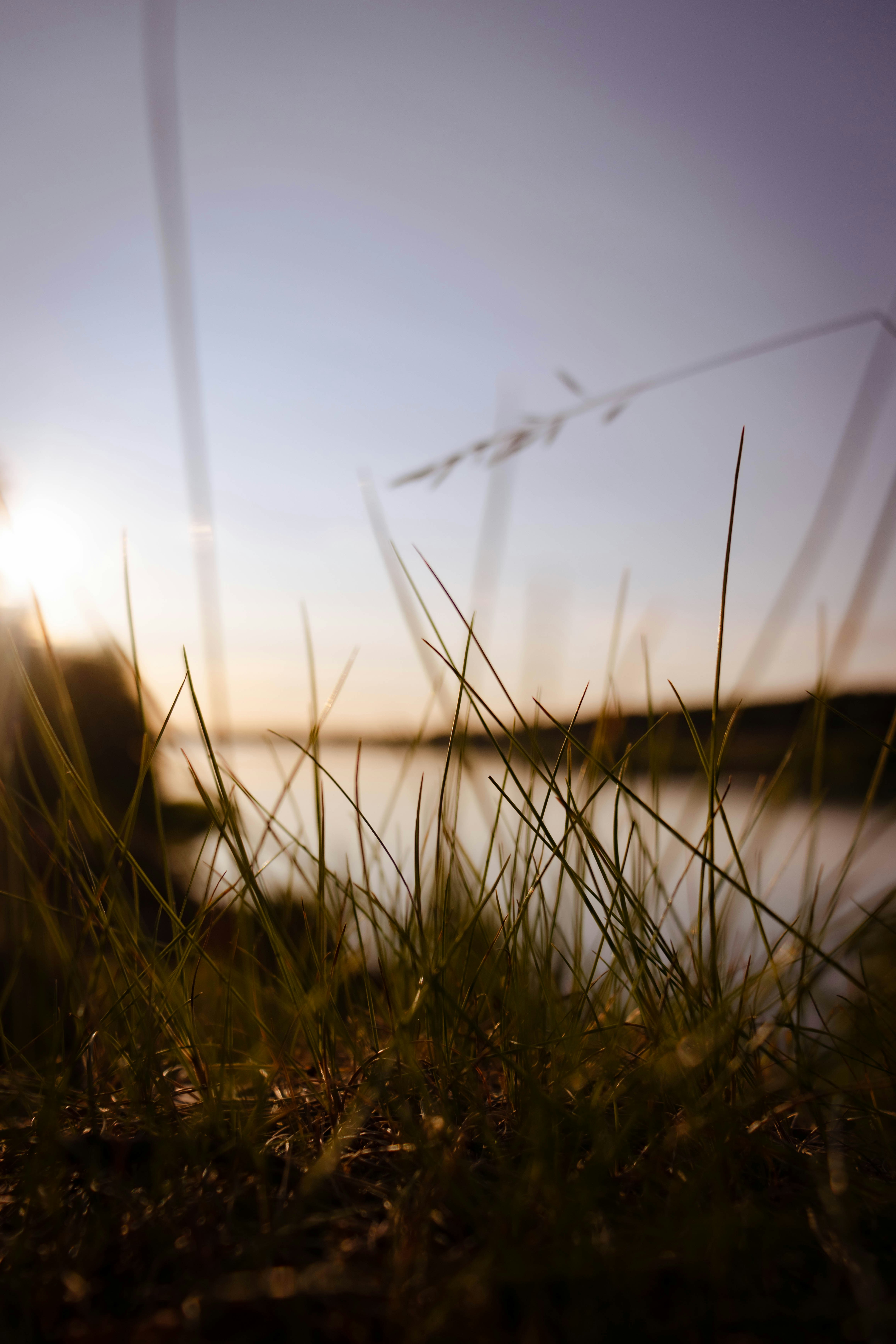 Photo by mihmihfoto