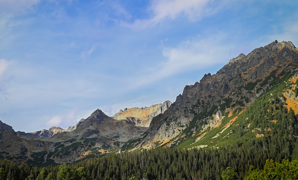 a mountain range with trees in the foreground and a blue sky in the background