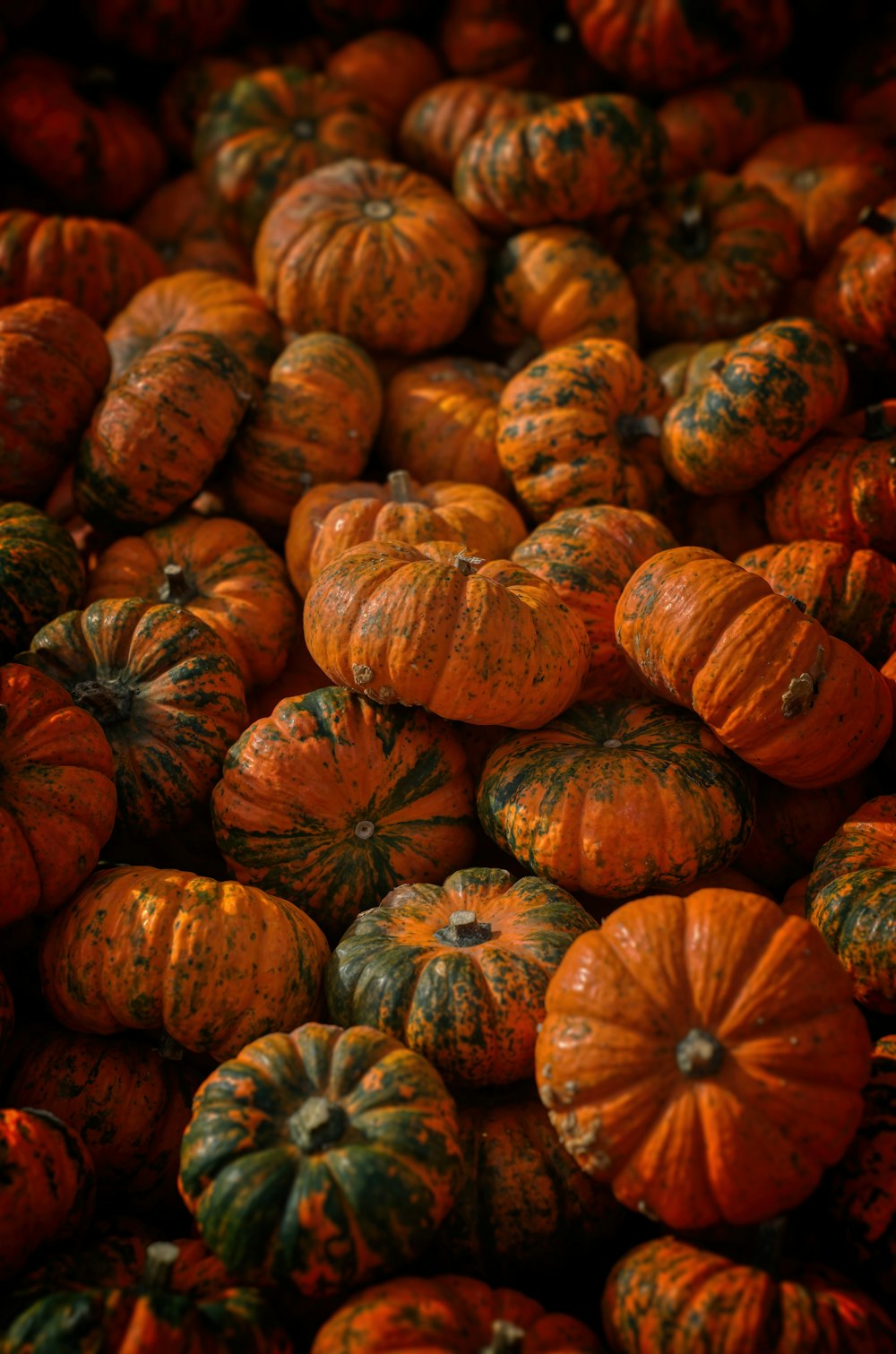 a pile of orange and green pumpkins sitting on top of each other