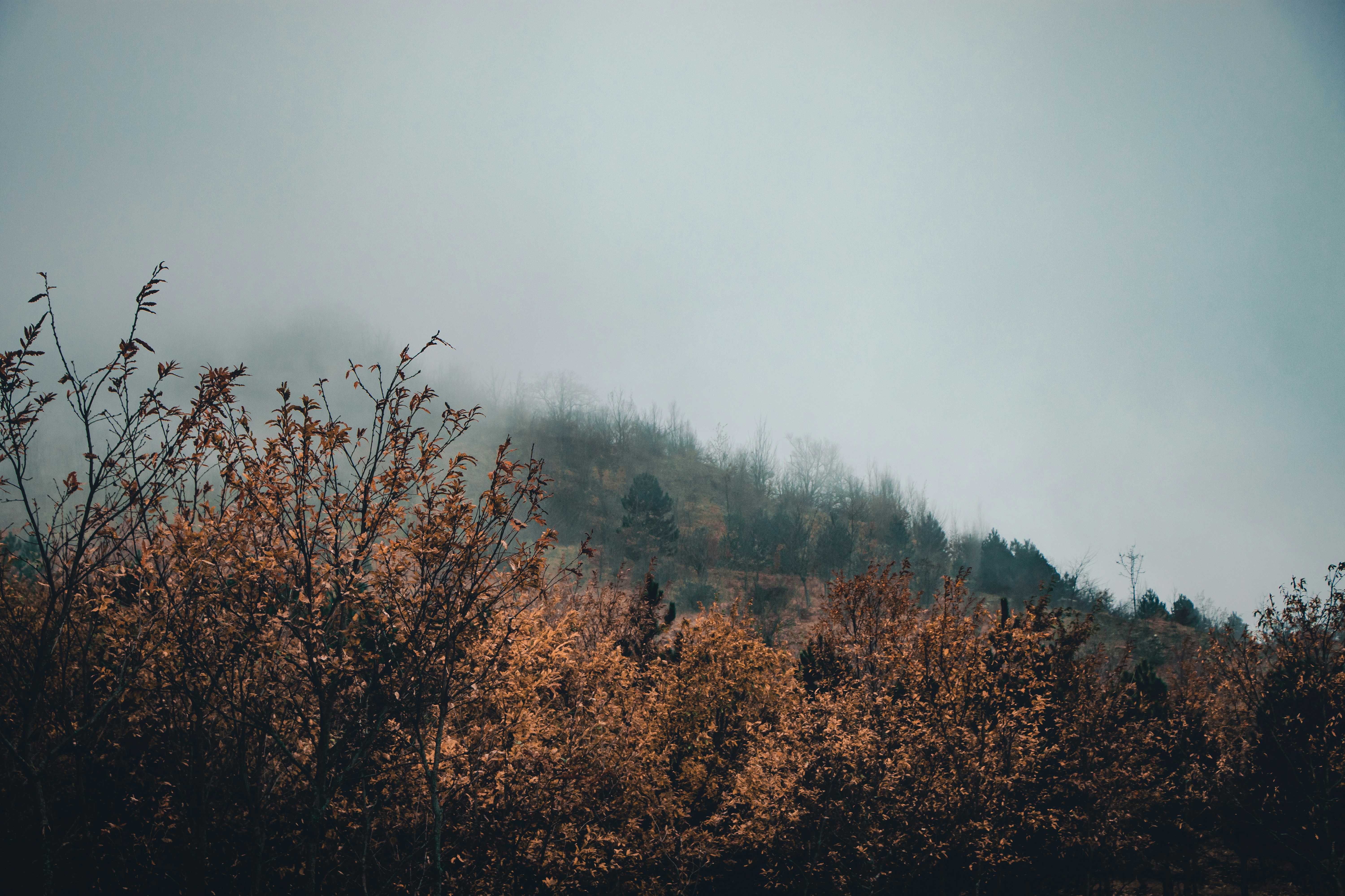 Photo by mahdibafande