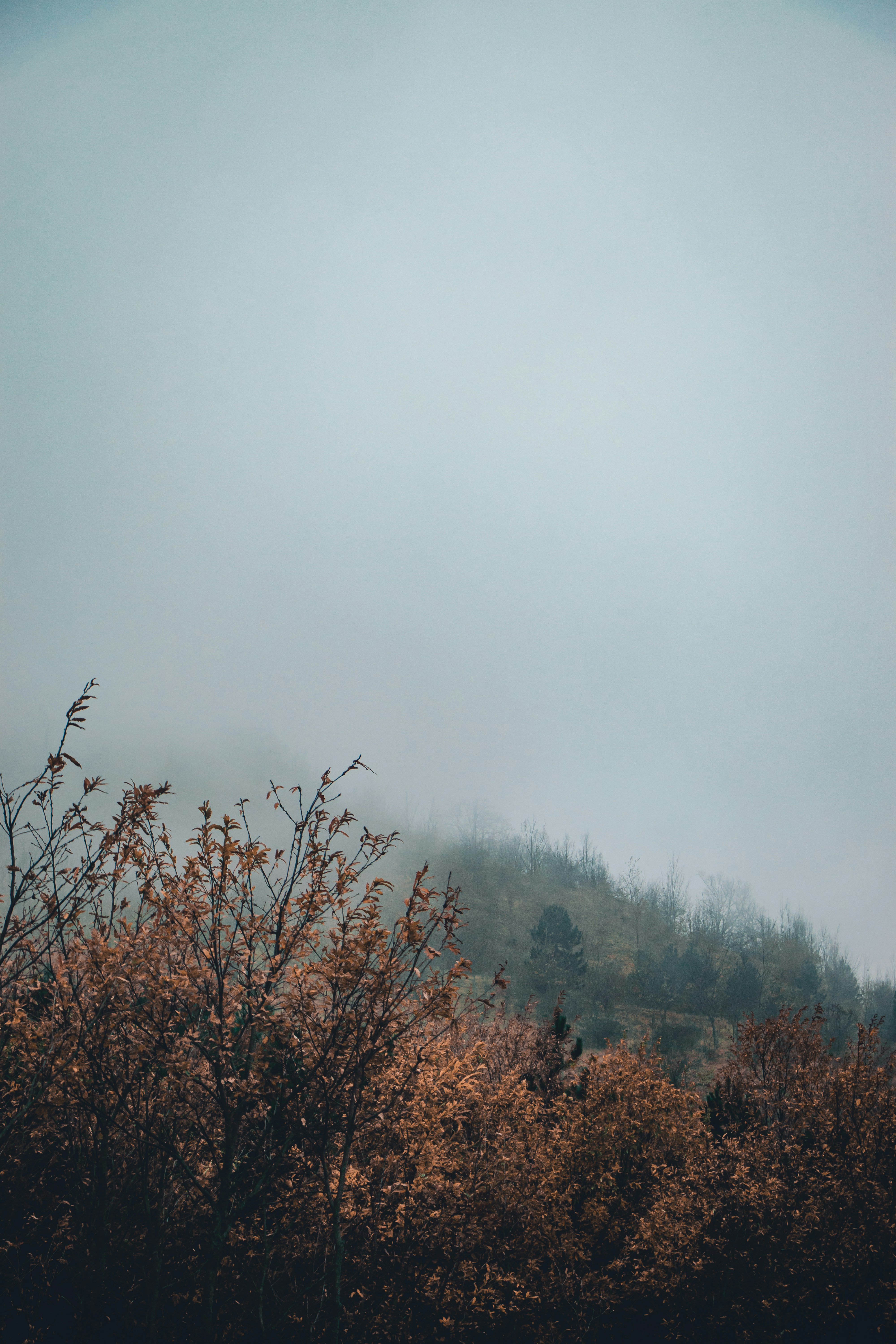 Photo by mahdibafande