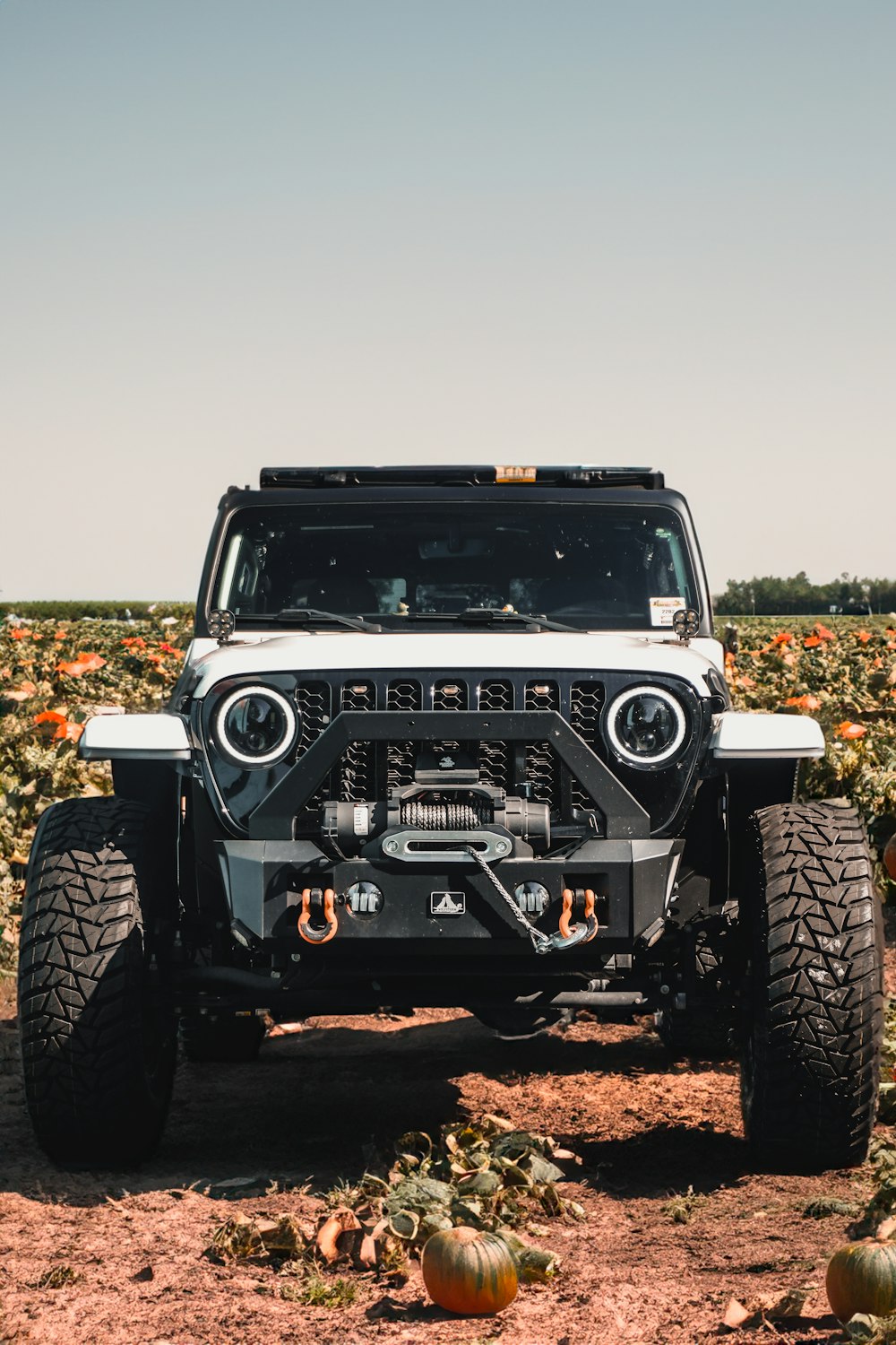 a jeep parked in a field of pumpkins