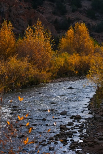 Springville Museum of Art, Springville