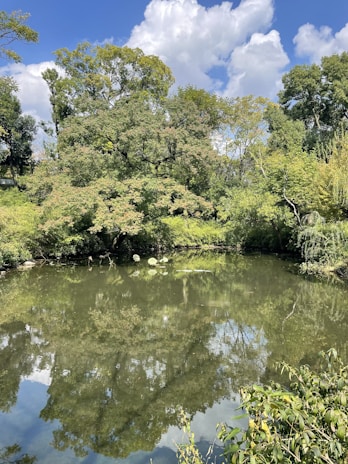 A serene fish farm pond reflecting the clear blue sky within the heritage village grounds.
