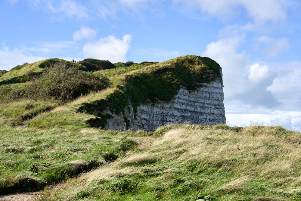 a grassy hill with a cliff in the background