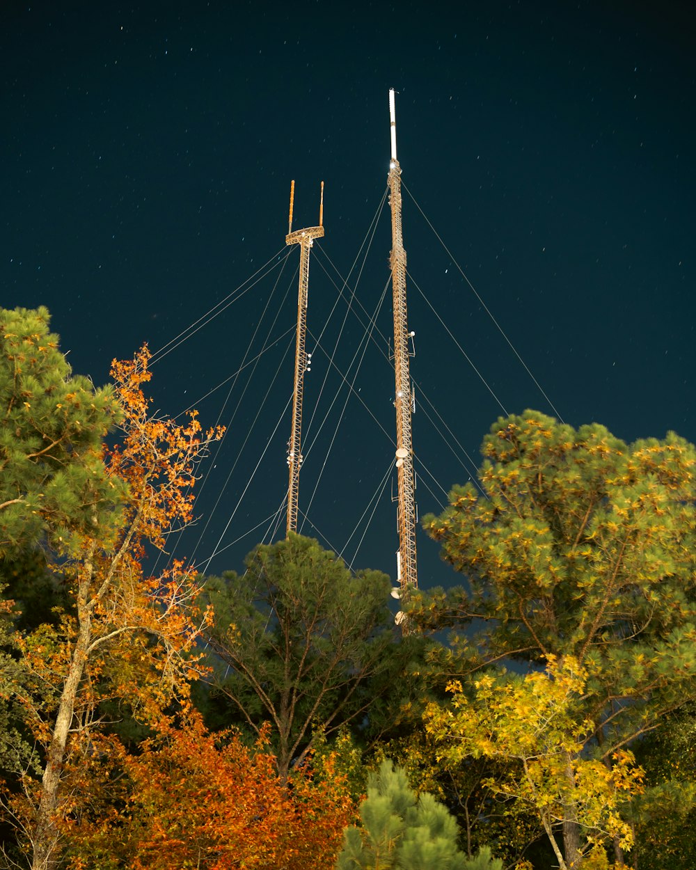 a cell phone tower in the middle of a forest