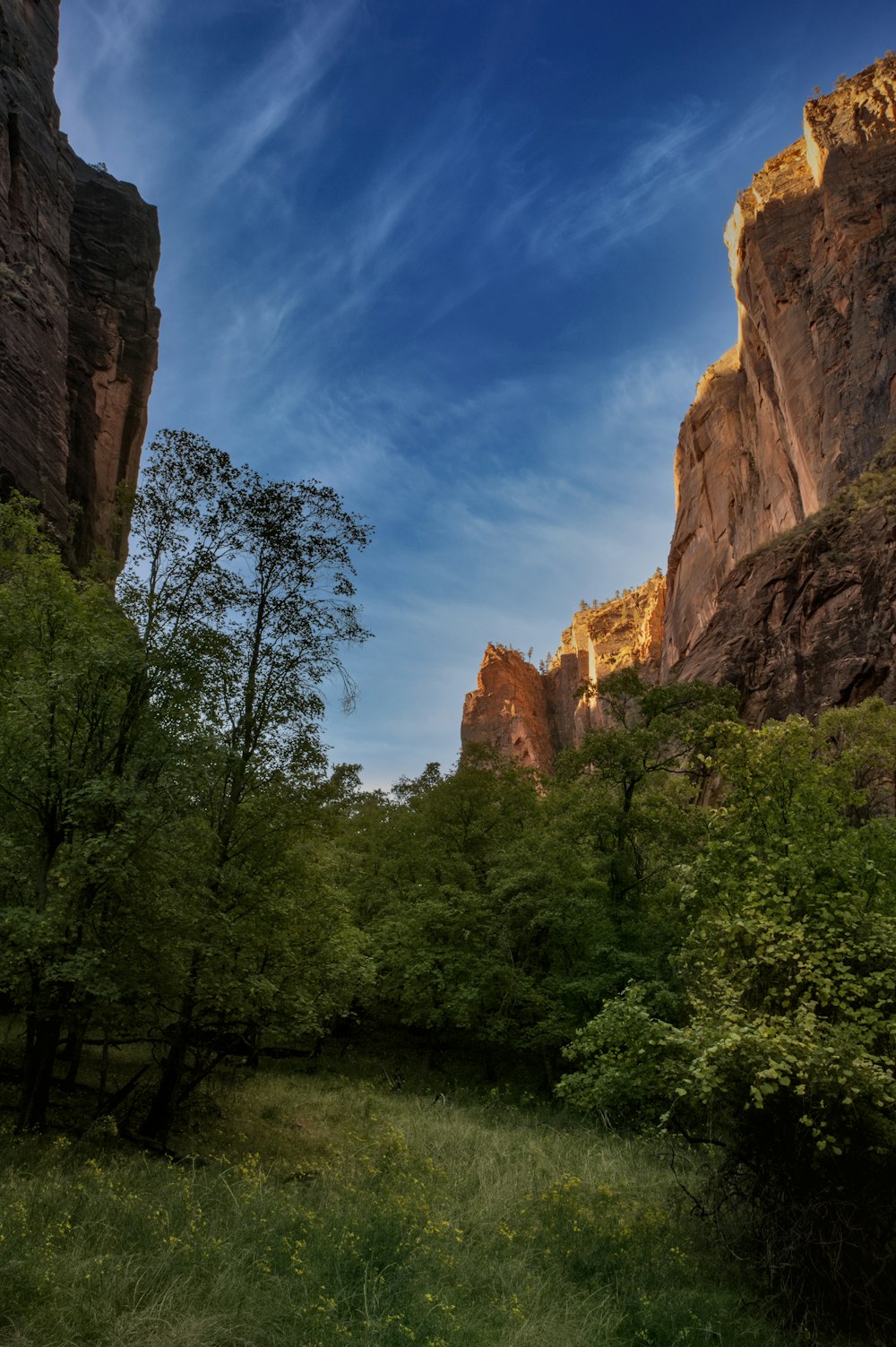 a lush green field surrounded by tall rocks