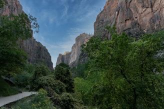 A serene trail winding through lush greenery at Rancho 12 Vientos, inviting visitors to explore the natural beauty.