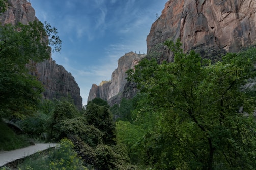 A serene landscape view of a canyon, symbolizing growth and exploration.