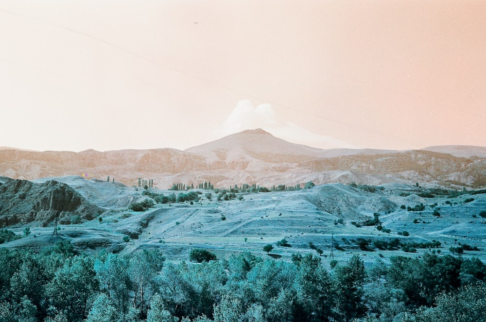 a view of a mountain range with trees in the foreground