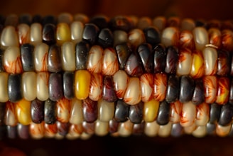 a close up of a corn on the cob