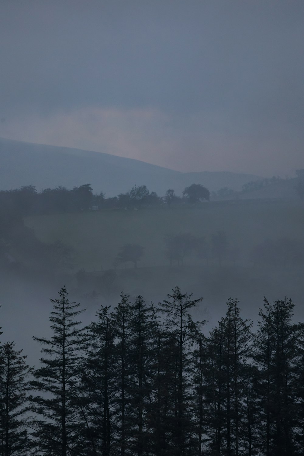 a foggy landscape with trees in the foreground