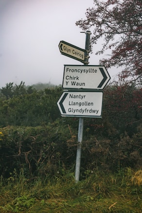 A rural road sign with multiple directional arrows pointing towards Glyn Ceiriog, Froncysyllte, Chirk, Y Waun, Nantyr, Llangollen, and Glyndyfrdwy is depicted against a background of dense green foliage and mist. The sign stands amidst overgrown grass and bushes, with some trees bearing red berries visible on the right side.