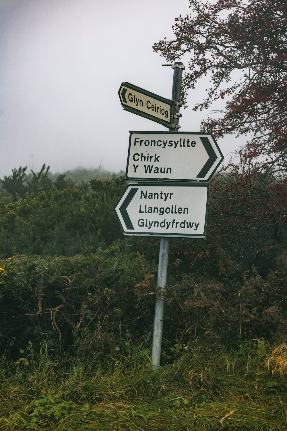 a pole with several street signs on it