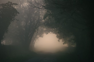 Families gathered near a fog-filled section of the path, with gentle spooky sounds enhancing the atmosphere.