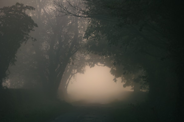 Families gathered near a fog-filled section of the path, with gentle spooky sounds enhancing the atmosphere.